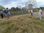 Capacity-building course - Pantanal