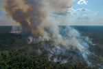 Amazônia brasileira pode viver a pior seca já registrada: um resultado da crise climática intensificada pelo El Niño