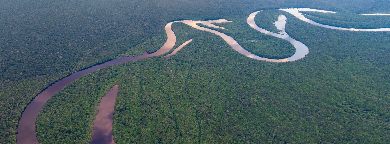 Amazônia Central